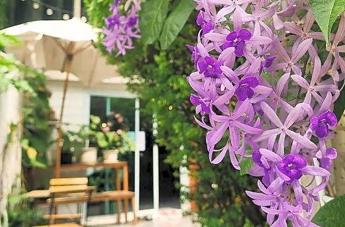 Home16 Sukhumvit16