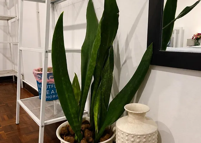 Home16 Sukhumvit16 אכסניה *